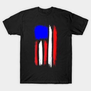 American Flag Premium Tee T-Shirt